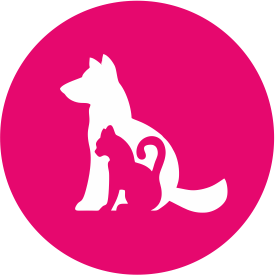 Mascotas