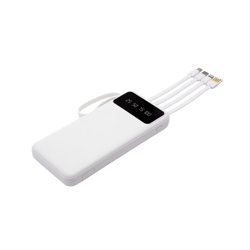 PowerBank multipuerto Michigan