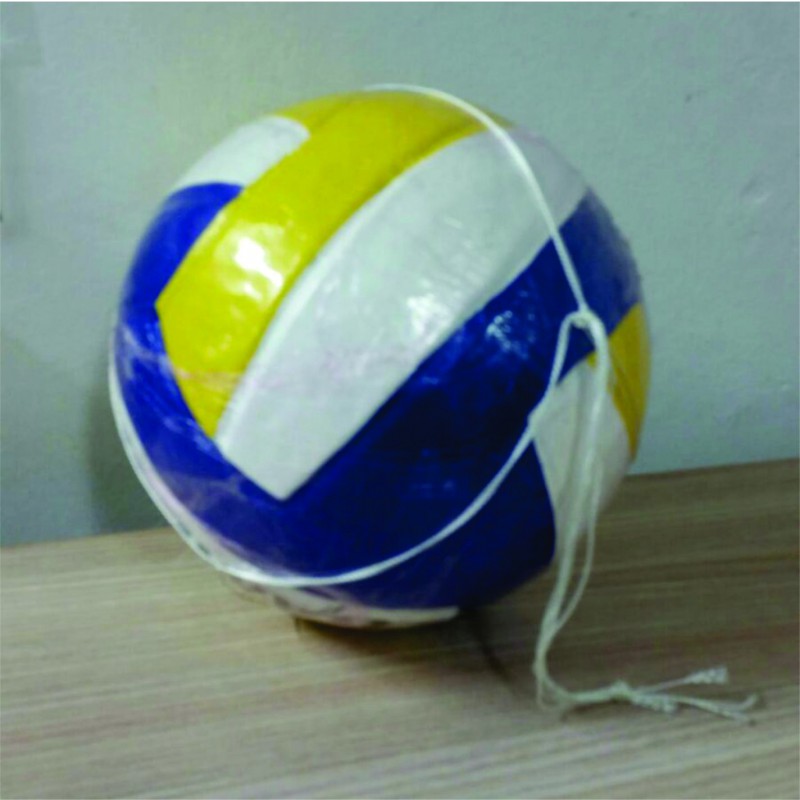 Balón de Voleibol