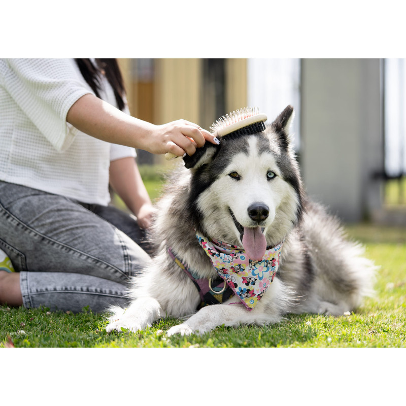 Cepillos para Mascotas Laika
