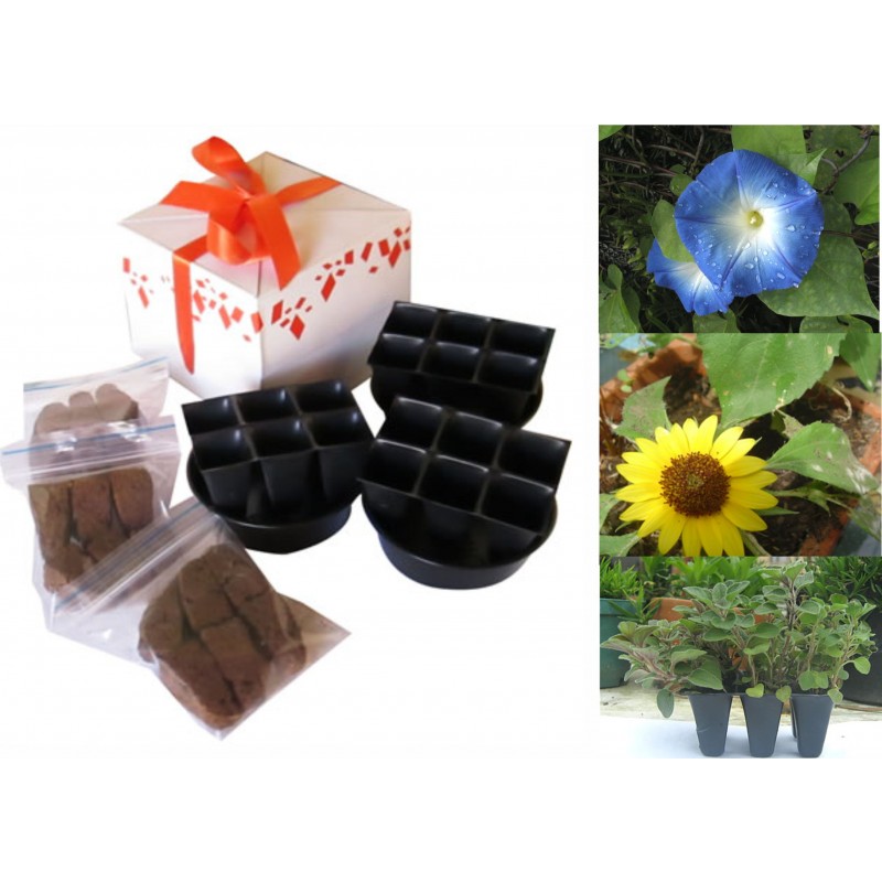 Huerta o jardín en Kit en caja de regalo (3 especies)