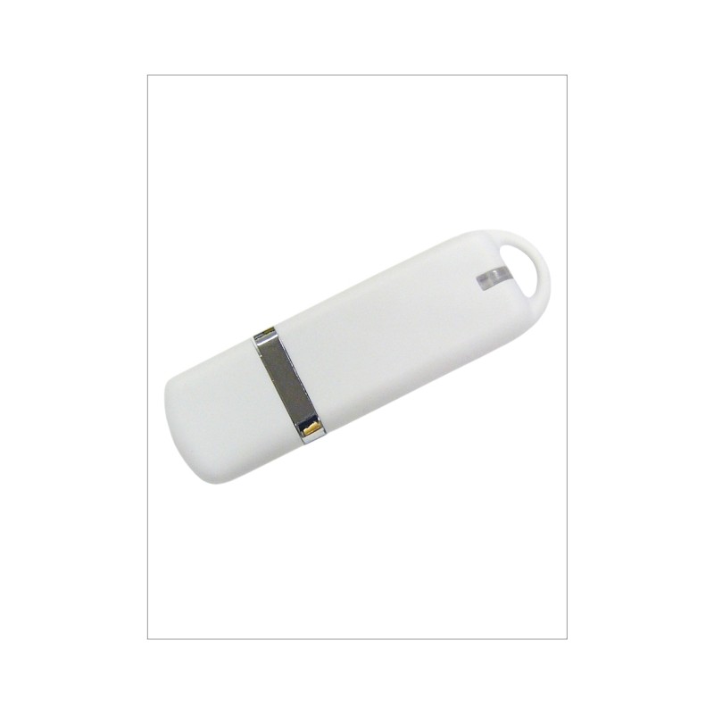 Usb Plastica con Tapa