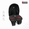 MORRAL LEONE