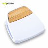 Clip Bamboo