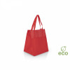 Bolsa Samara