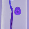 Kit oral con cartuchera