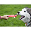 Frisby para Mascotas Hachiko