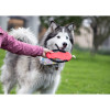 Frisby para Mascotas Hachiko