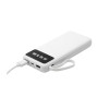 PowerBank multipuerto Michigan