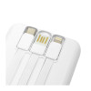 PowerBank Multipuerto Atlanta