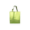 Bolsa Carter