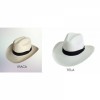 Sombrero Aguadeño
