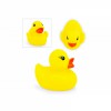 Pato Beauty