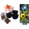Huerta o jardín en Kit en caja de regalo (3 especies)