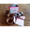 Kit de siembra en caja tipo lonchera
